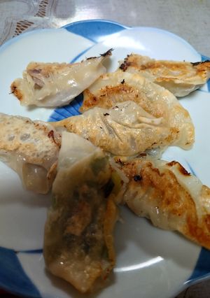 ネギと鮭フレークで餃子！-レシピのメイン写真