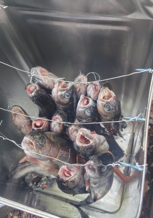 ぽにょ　(´・ω・｀)-レシピのメイン写真