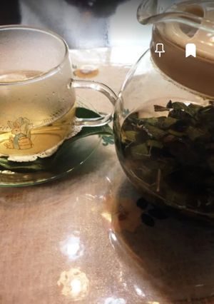 柿の葉茶-レシピのメイン写真