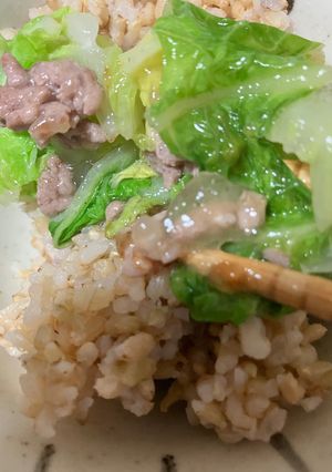 簡単　ひき肉と白菜のトロ旨煮-レシピのメイン写真