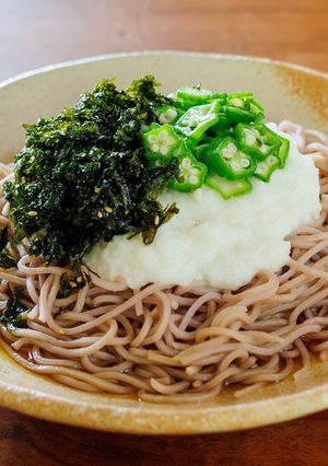 ジャバンのりととろろの冷しそば-レシピのメイン写真