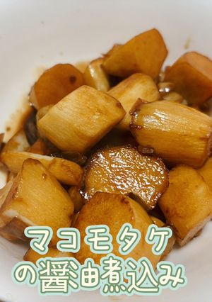 マコモタケの醤油煮込み-レシピのメイン写真