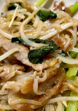 もやしとほうれん草と豚肉の炒め物-レシピのメイン写真