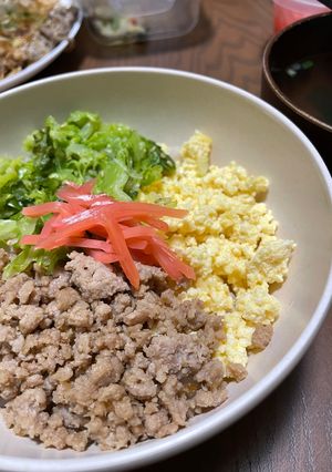 おいしくて安い三色丼-レシピのメイン写真