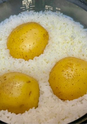 米と酒の蒸気で蒸す極上じゃがいもご飯-レシピのメイン写真