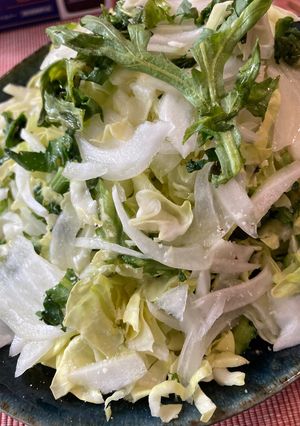 春菊、新玉ねぎ、春キャベツの大人サラダ-レシピのメイン写真