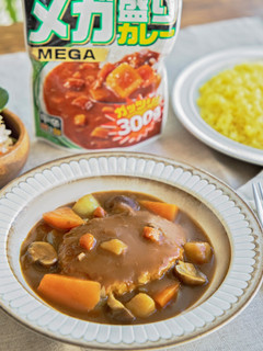 カレー煮込みハンバーグ-レシピのメイン写真