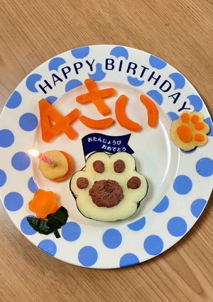 犬用 肉球ケーキ🐾-レシピのメイン写真