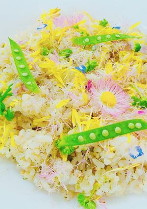 スギナと野花の混ぜご飯-レシピのメイン写真