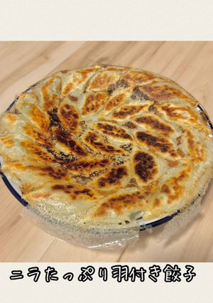 ニラたっぷり餃子　羽根付き-レシピのメイン写真