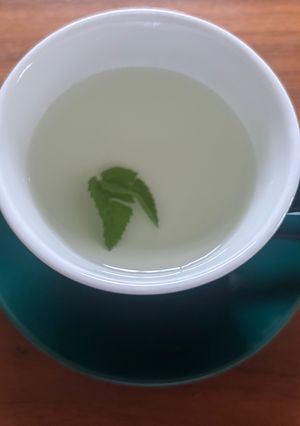 眠気撃退🥱🌿ミントティー🌱🫖-レシピのメイン写真