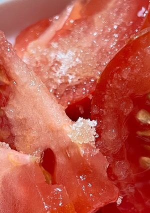 砂糖がけトマト-レシピのメイン写真