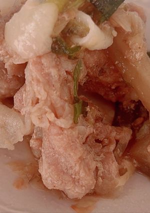 豚肉と牛蒡と太ネギの煮物-レシピのメイン写真