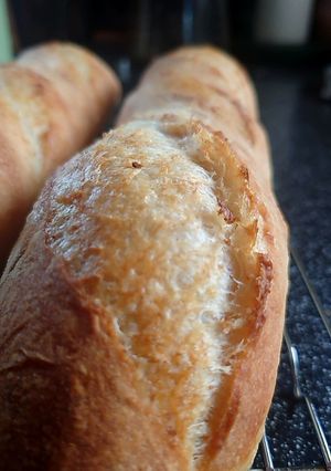 仏パン オーバーナイト冷蔵発酵覚書-レシピのメイン写真