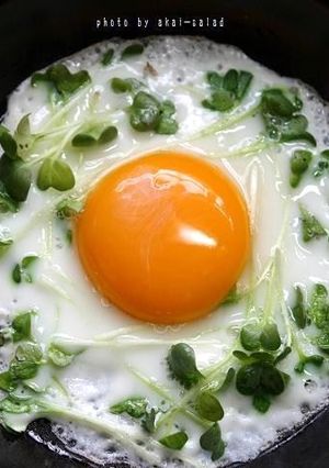 可愛い目玉焼き★つんつん貝割れ菜-レシピのメイン写真