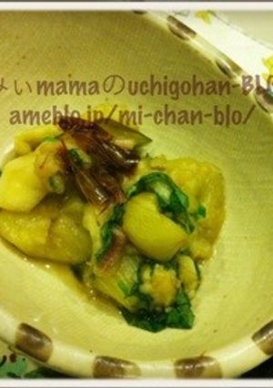 薬味たっぷり焼き茄子☆-レシピのメイン写真