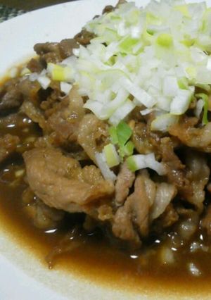 豚肉の蒲焼きのタレ炒め☆彡-レシピのメイン写真