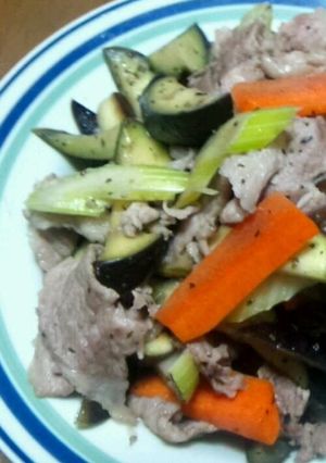 イタリアン…？豚肉と茄子のバジル風塩炒め-レシピのメイン写真