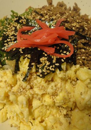 味付けごはんで☆３色丼-レシピのメイン写真