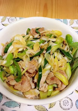 ネギと豚肉の炒め物-レシピのメイン写真
