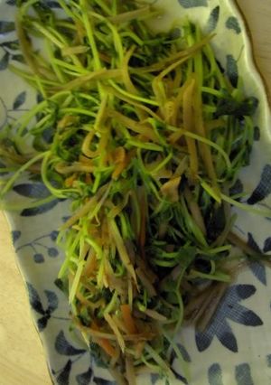 豆苗ときんぴらのにんにくソテー-レシピのメイン写真