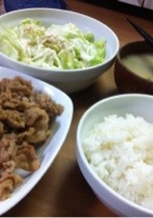 天秤座が作る生姜焼き-レシピのメイン写真
