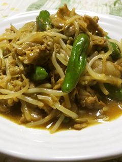 もやしと豚肉の和風カレー炒め煮-レシピのメイン写真