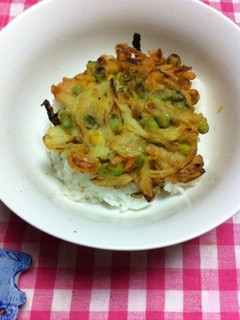野菜かき揚げ丼-レシピのメイン写真