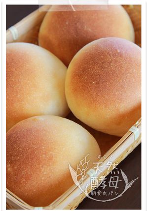 ホシノ酵母朝食パン♪基本牛乳パン-レシピのメイン写真
