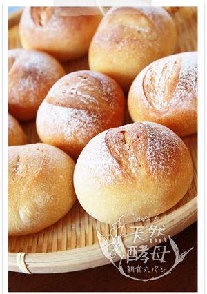 ホシノ酵母朝食丸パン♪基本全粒粉パン-レシピのメイン写真