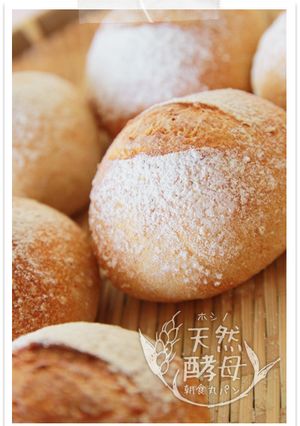 ホシノ酵母朝食丸パン♪粗挽き全粒粉パン-レシピのメイン写真