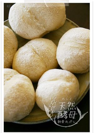 ホシノ酵母朝食丸パン♪基本白パン-レシピのメイン写真