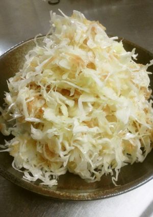 キャベツとカツオの塩サラダ-レシピのメイン写真