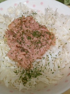 キャベツの千切りツナのっけサラダ-レシピのメイン写真