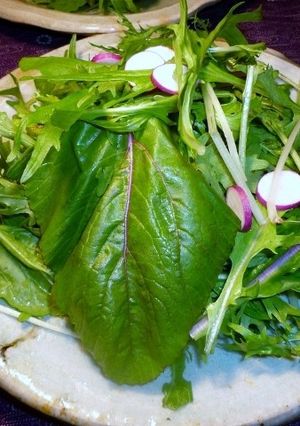 ルッコラ、ひの菜のサラダ 京都カフェ-レシピのメイン写真