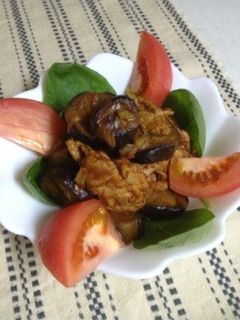 茄子と豚肉のカレーケチャップ炒め-レシピのメイン写真