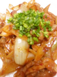 豚肉と玉ねぎのピリ辛味噌炒め-レシピのメイン写真