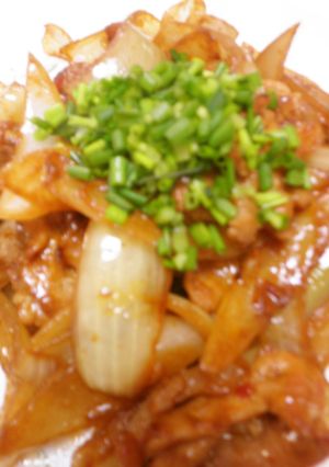 豚肉と玉ねぎのピリ辛味噌炒め-レシピのメイン写真