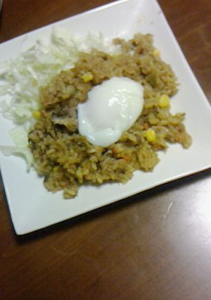 炊込みカレー御飯(温泉卵レシピ付)-レシピのメイン写真
