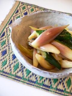 みょうがときゅうりのお漬物-レシピのメイン写真