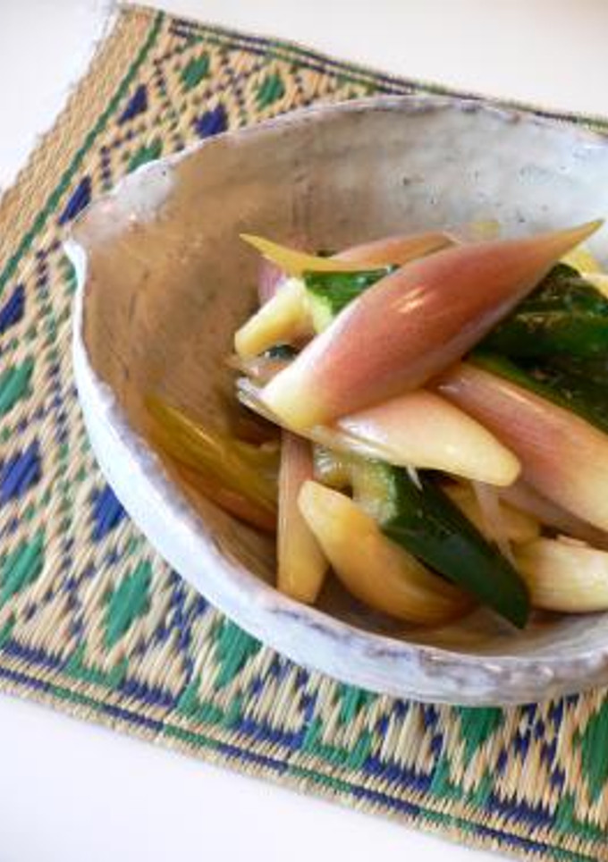 みょうがときゅうりのお漬物-レシピのメイン写真