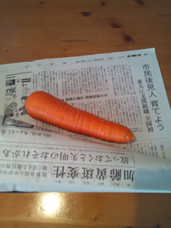 にんじんは新聞紙で包んで冷蔵庫に入れてネ-レシピのメイン写真