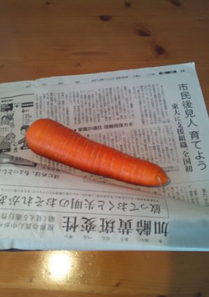 にんじんは新聞紙で包んで冷蔵庫に入れてネ-レシピのメイン写真