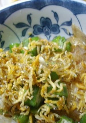 うんまっ！我が家のズボラ飯おくら丼-レシピのメイン写真