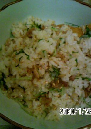 水菜と豚バラ肉のまぜごはん-レシピのメイン写真
