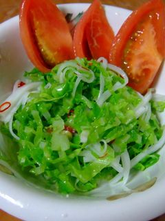 キャベツの簡単サラダ!-レシピのメイン写真