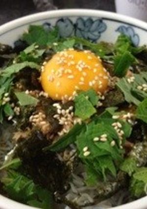 朝食&ランチに手抜き妊婦飯☆しらすツナ丼-レシピのメイン写真