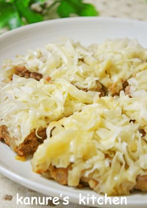 ジャンボ焼きシュウマイ　（ずぼら飯）-レシピのメイン写真