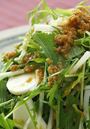 大根と長芋と水菜の和風ノンオイルサラダ-レシピのメイン写真