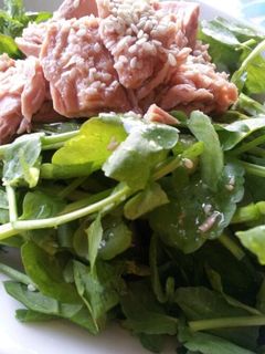 水菜とツナののせるだけサラダ-レシピのメイン写真
